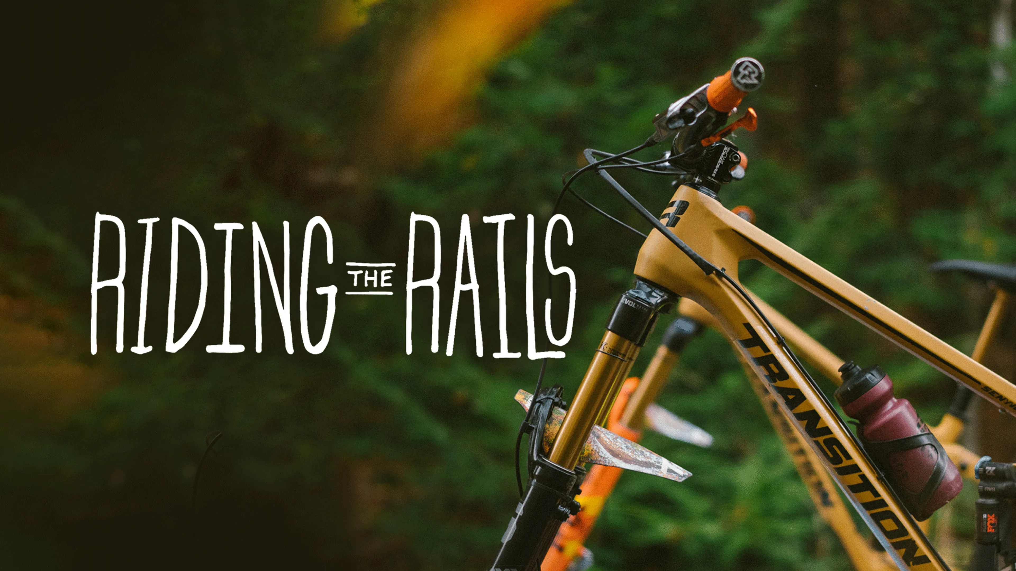 Riding the Rails poster